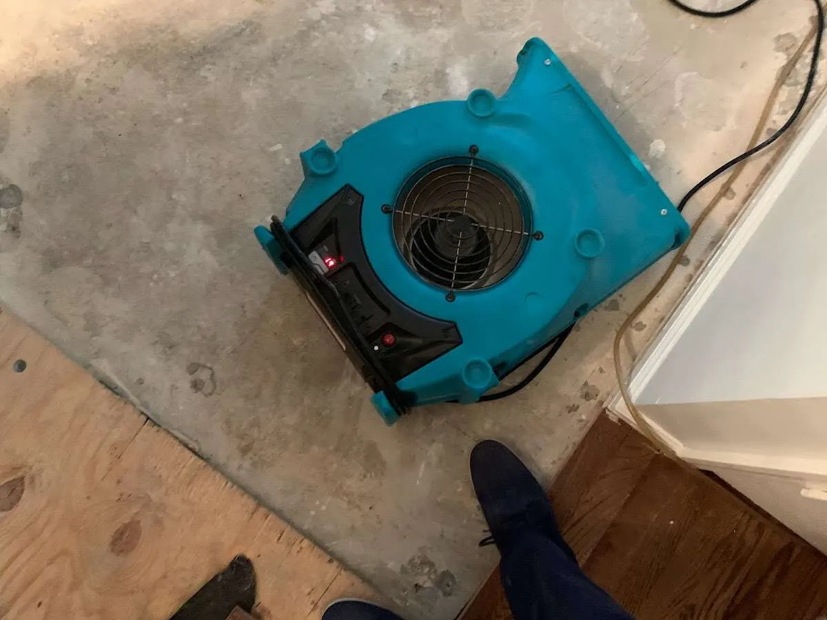 Air mover drying subfloor during Leak Detection & Repair in Casselberry
